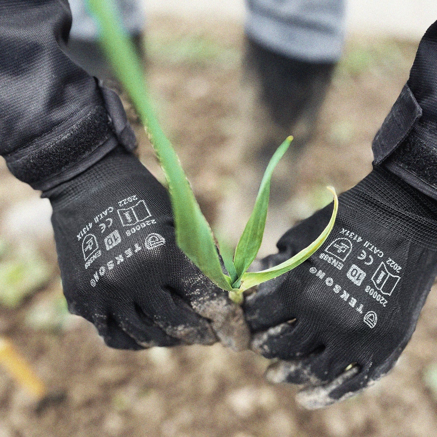 Gants de travail, universels, avec polyuréthane, 12 paires | TEKSON Black